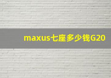 maxus七座多少钱G20