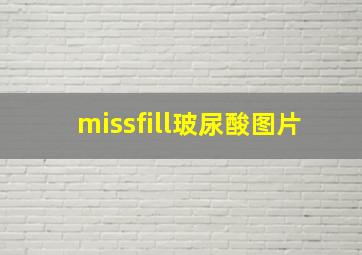 missfill玻尿酸图片