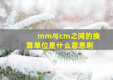 mm与cm之间的换算单位是什么意思啊