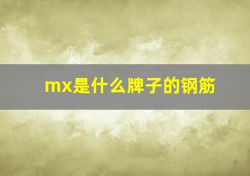 mx是什么牌子的钢筋