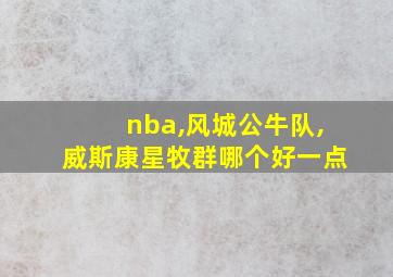 nba,风城公牛队,威斯康星牧群哪个好一点