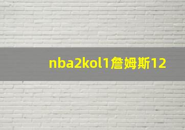 nba2kol1詹姆斯12