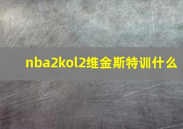 nba2kol2维金斯特训什么