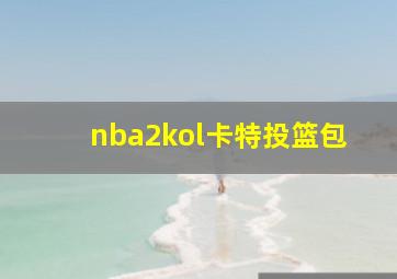 nba2kol卡特投篮包