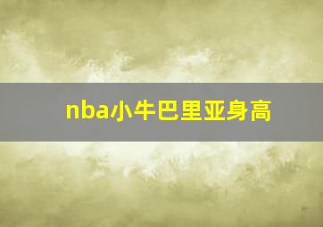 nba小牛巴里亚身高