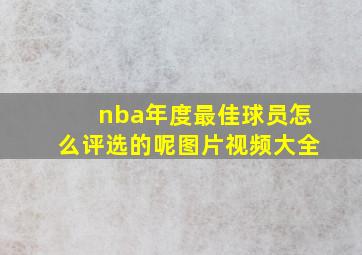 nba年度最佳球员怎么评选的呢图片视频大全