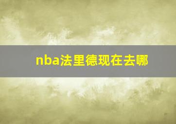 nba法里德现在去哪