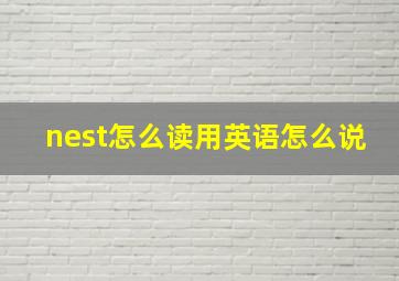 nest怎么读用英语怎么说