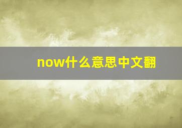 now什么意思中文翻