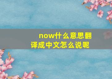 now什么意思翻译成中文怎么说呢