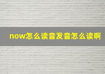 now怎么读音发音怎么读啊