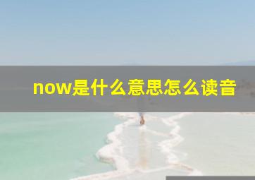 now是什么意思怎么读音