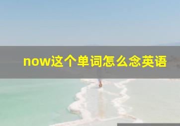 now这个单词怎么念英语