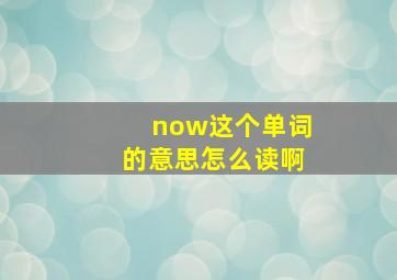 now这个单词的意思怎么读啊