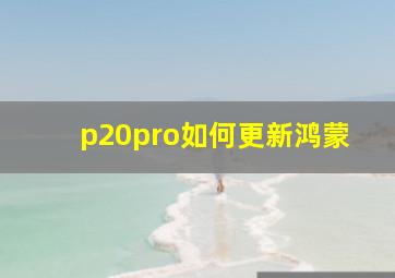 p20pro如何更新鸿蒙