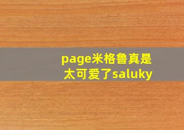 page米格鲁真是太可爱了saluky