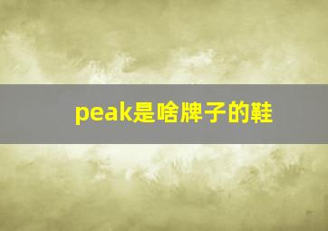 peak是啥牌子的鞋