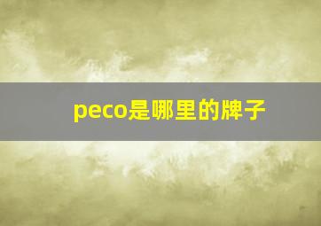 peco是哪里的牌子