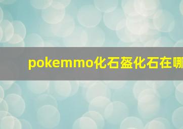 pokemmo化石盔化石在哪