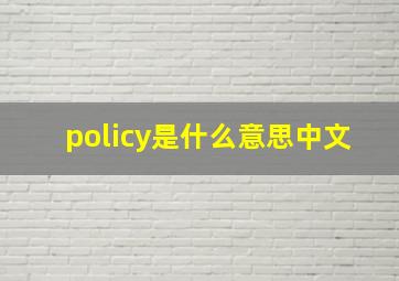 policy是什么意思中文