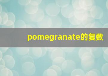 pomegranate的复数