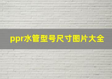 ppr水管型号尺寸图片大全