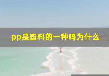 pp是塑料的一种吗为什么