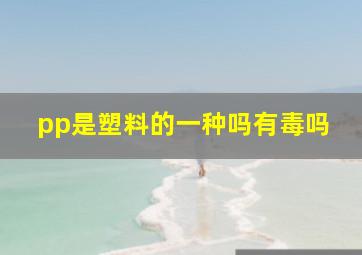 pp是塑料的一种吗有毒吗