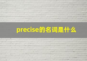 precise的名词是什么