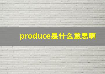 produce是什么意思啊