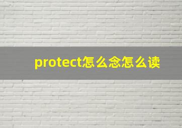 protect怎么念怎么读