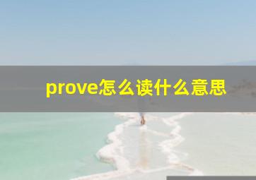 prove怎么读什么意思