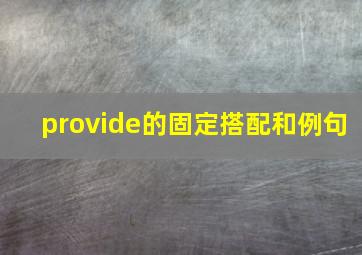 provide的固定搭配和例句