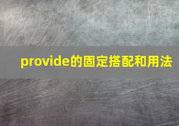 provide的固定搭配和用法