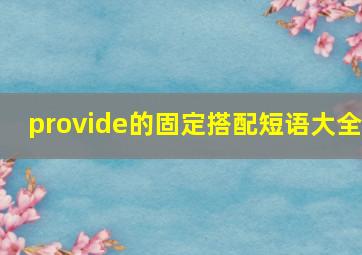 provide的固定搭配短语大全