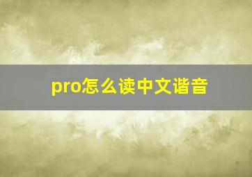 pro怎么读中文谐音