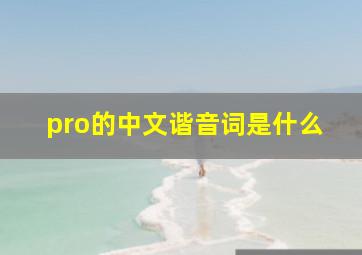 pro的中文谐音词是什么