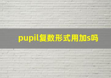 pupil复数形式用加s吗