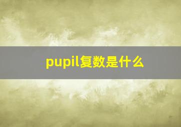 pupil复数是什么