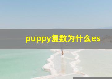 puppy复数为什么es