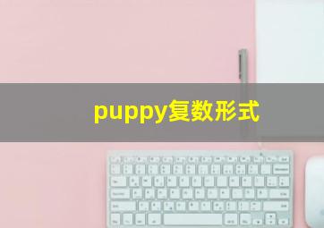 puppy复数形式