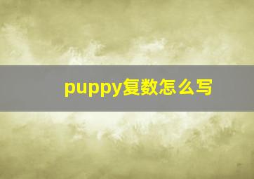 puppy复数怎么写