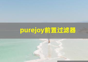 purejoy前置过滤器