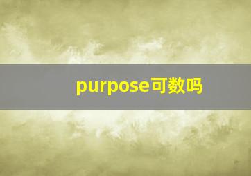 purpose可数吗