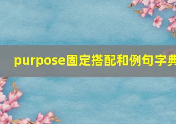 purpose固定搭配和例句字典