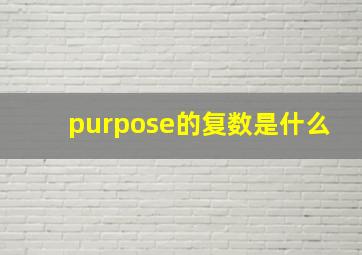 purpose的复数是什么