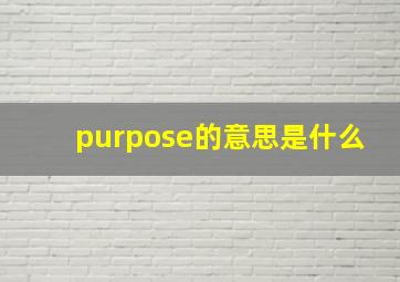 purpose的意思是什么