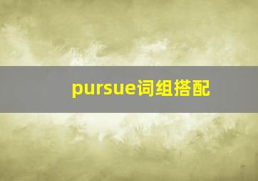 pursue词组搭配