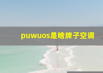 puwuos是啥牌子空调