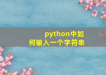 python中如何输入一个字符串